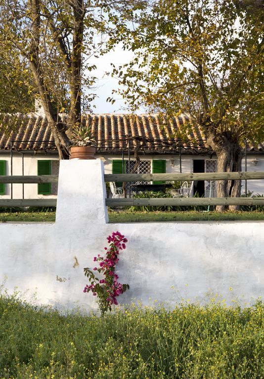 Cuevas Del Pino Turismo Rural Y Emocional Sl Villarrubia Exterior photo