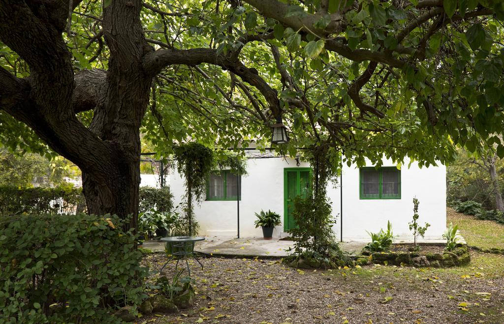 Cuevas Del Pino Turismo Rural Y Emocional Sl Villarrubia Exterior photo