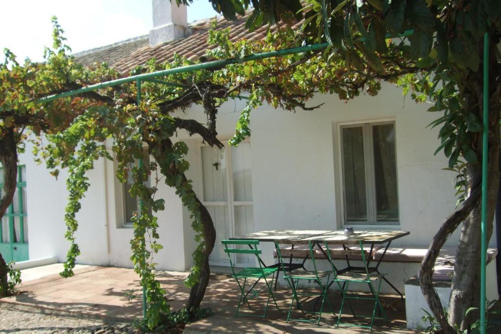Cuevas Del Pino Turismo Rural Y Emocional Sl Villarrubia Room photo